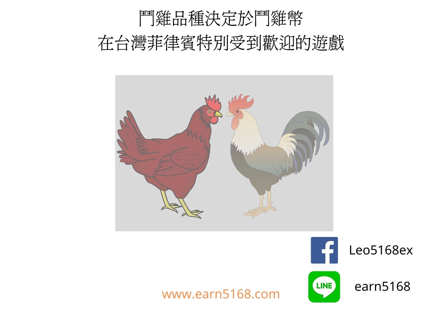 鬥雞品種決定於鬥雞幣-在台灣菲律賓特別受到歡迎的遊戲